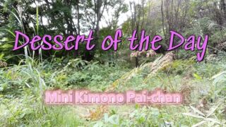 Dessert of the Day - Mini Kimono Pai-chan